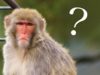 投資？私にわかるだろうか…？